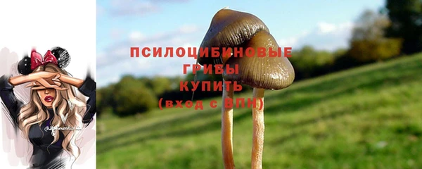 МДПВ Армянск