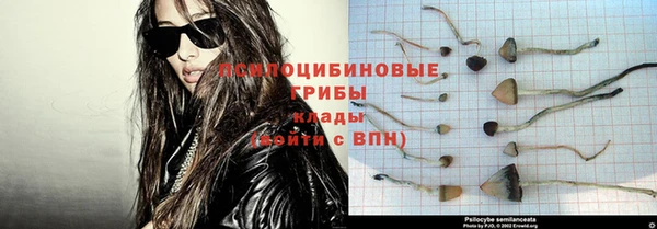 МДПВ Армянск