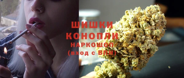 гидропоника Гусев