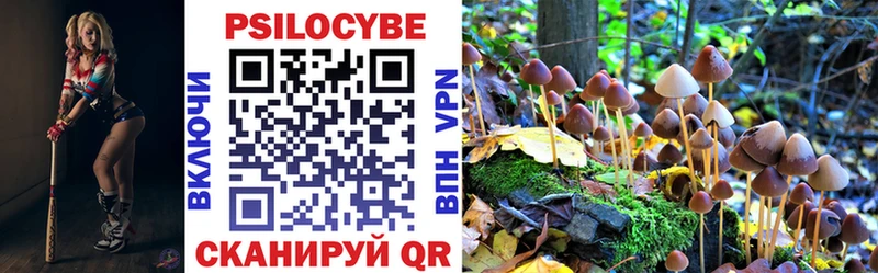 Галлюциногенные грибы GOLDEN TEACHER  Ленинск 